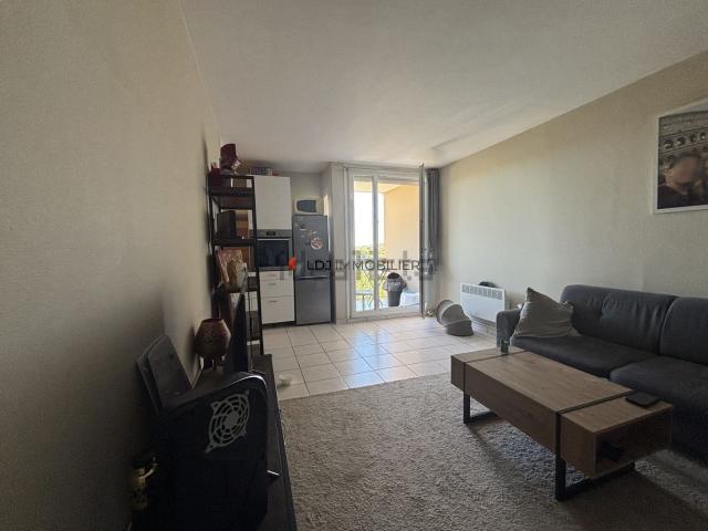 Appartement, Perpignan