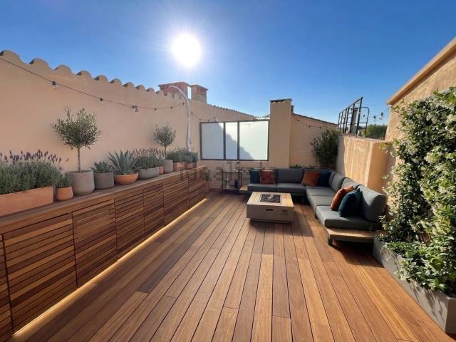 Appartement, Perpignan