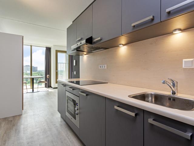 Appartement Pietersbergweg 685 1105 BM Amsterdam