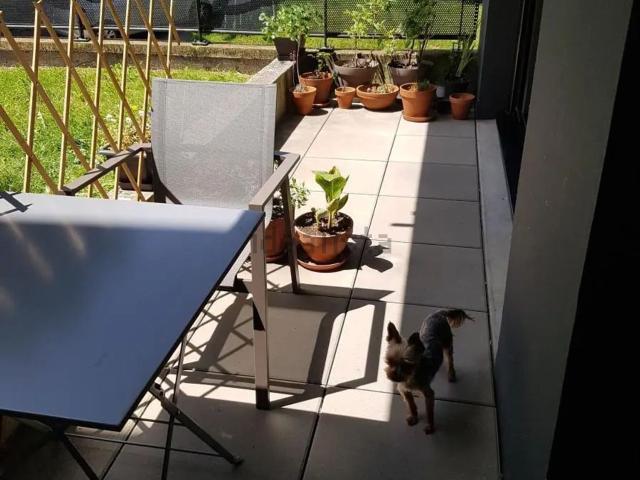 Appartement, Pontivy