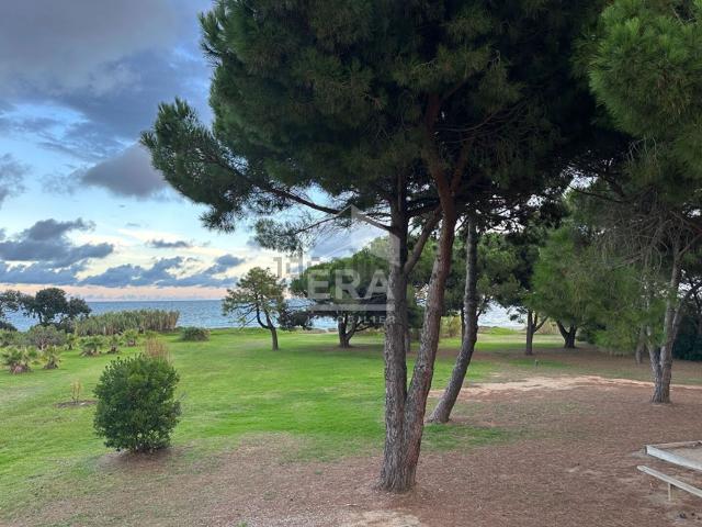 Appartement, Poggio Mezzana