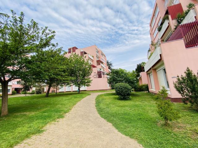 Appartement, Poitiers