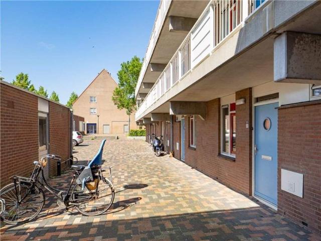 Appartement pour Jeunes à Griend 33, Boswijk, Lelystad