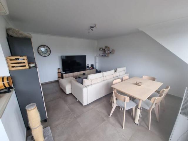 Appartement rénové 2 chambres avec terrasse plein sud