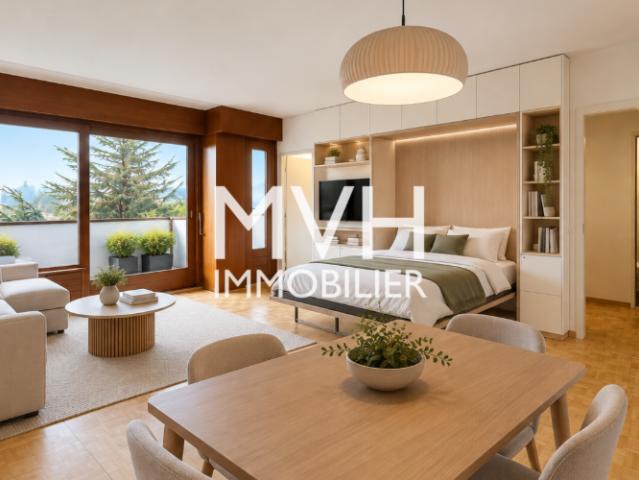 Appartement rénové 9ème étage avec vue sur le Mont blanc