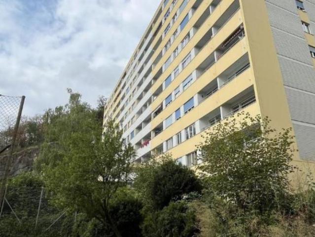 Appartement rénové avec vue sur le lac