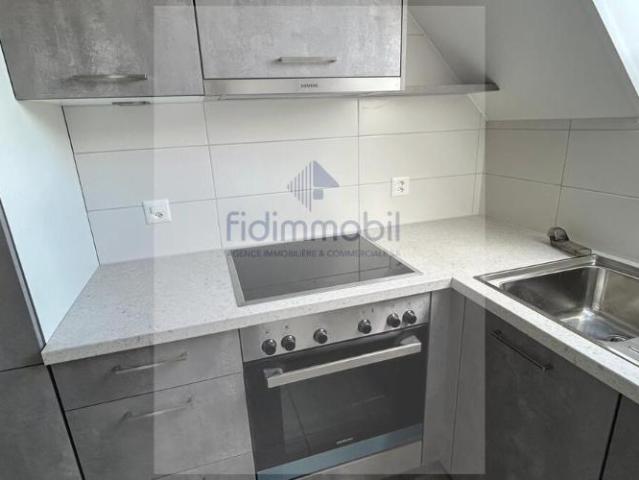 APPARTEMENT RENOVE DANS QUARTIER CALME