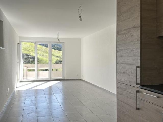 Appartement rénové de 3.5 pièces avec vue et balcons