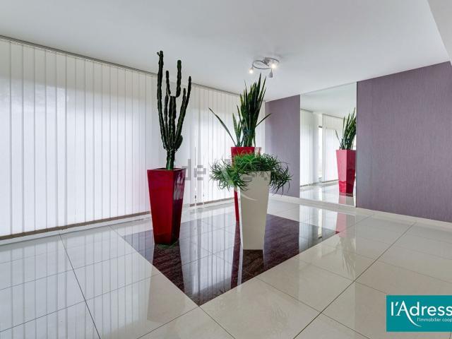 Appartement, Reims