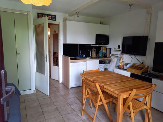 Appartement skis aux pieds proche commerces