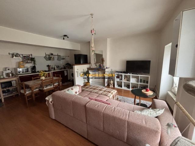 Appartement, Rive de Gier