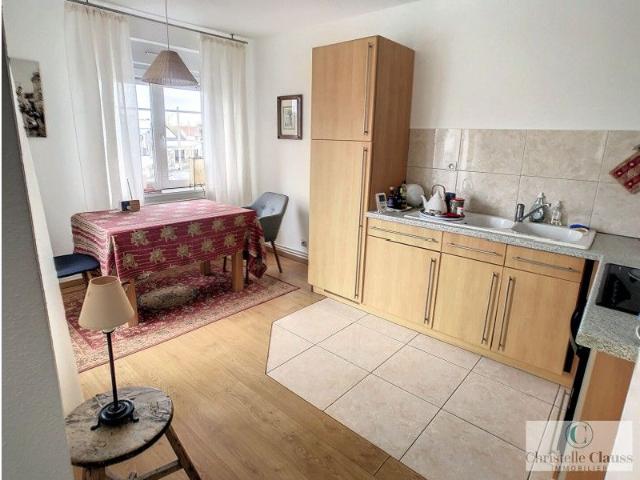 Appartement RIXHEIM 47m² 1 chambre