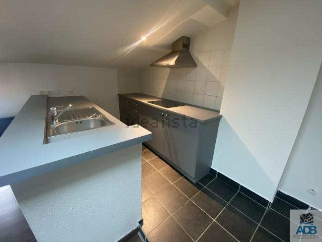 Appartement, Roanne
