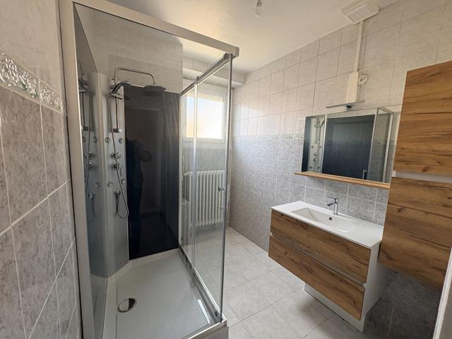 Appartement Roche La Moliere 4 pièce s