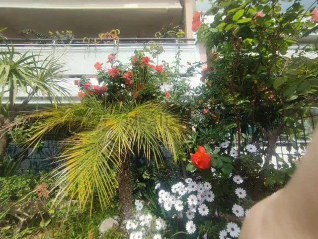 Appartement, Roquebrune Cap Martin