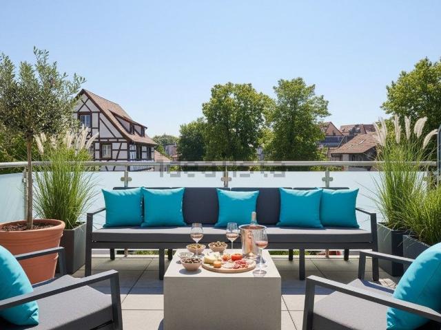 Appartement, Schiltigheim