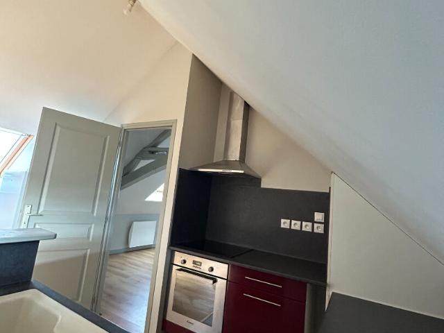 Appartement Saint Benoit Sur Loire 2 pièce s