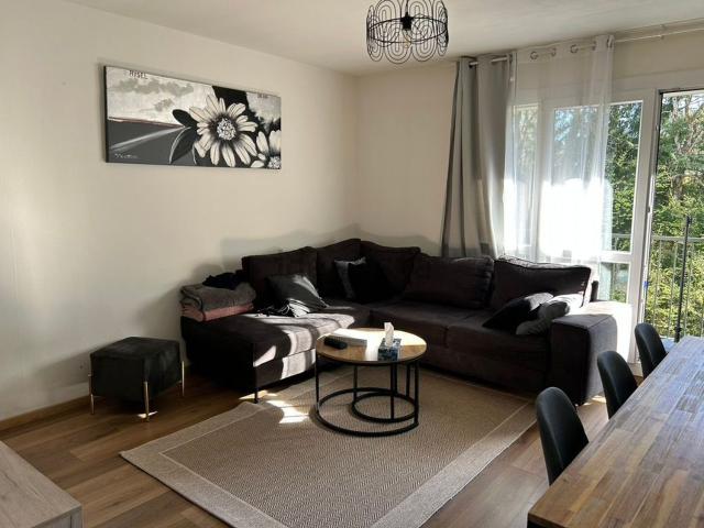 Appartement, Saint Dié des Vosges