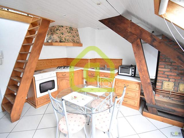 Appartement Saint Die Des Vosges 1 pièce duplex