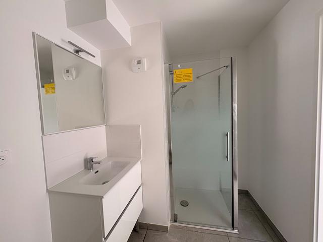 Appartement Saint Etienne 1 pièce