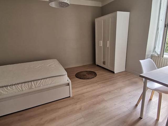 Appartement Saint Etienne 2 pièce s