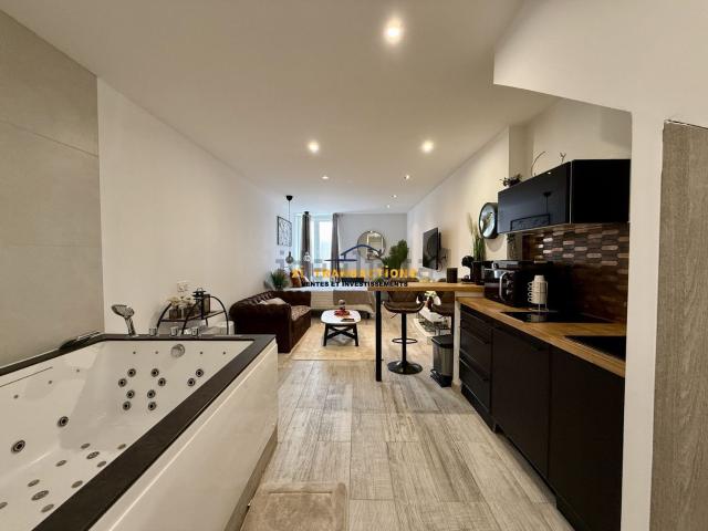Appartement, Saint Étienne