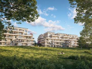 Rue de Boufflers, Le Pecq, Yvelines - Jardin
