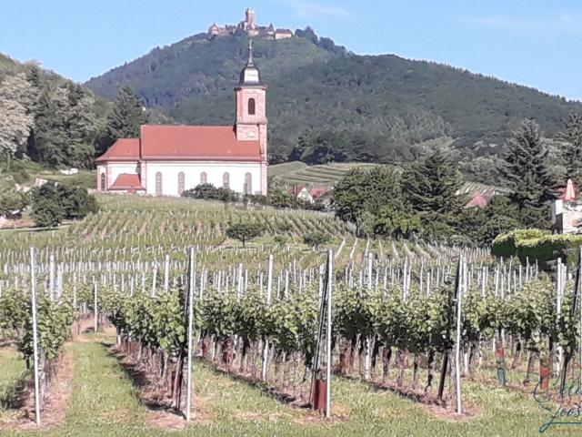 Appartement, Saint Hippolyte