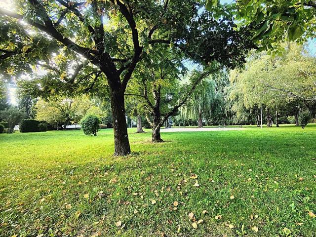 Appartement Saint Martin D Heres 4 pièce s 71 m2