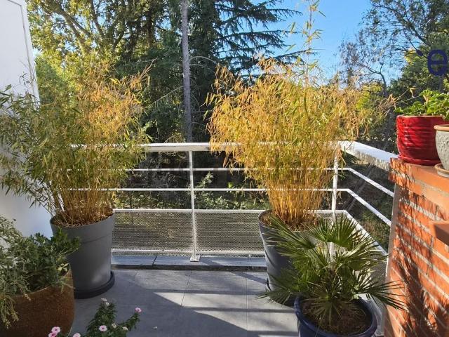 Appartement, Saint Orens de Gameville