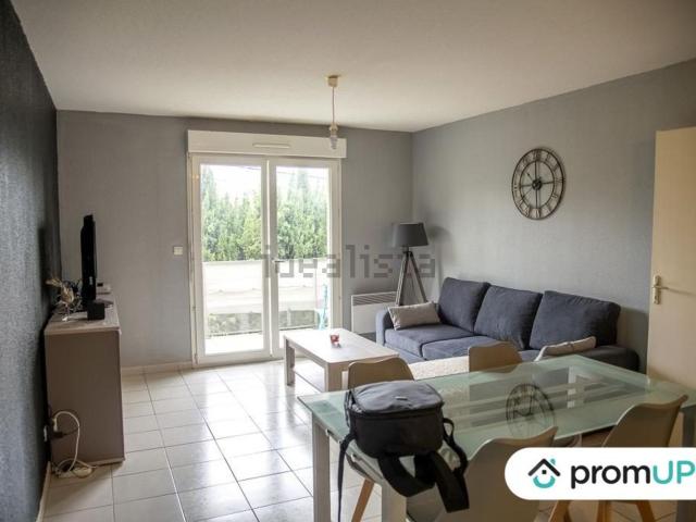 Appartement, Salles d&apos Aude