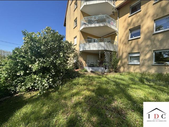 Appartement, Sarrebourg
