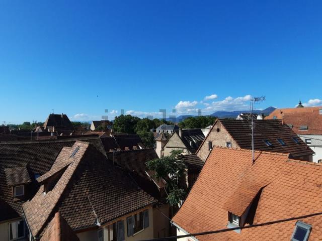 Appartement, Sélestat