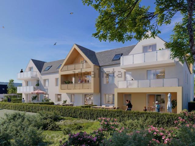 Appartement, Sélestat