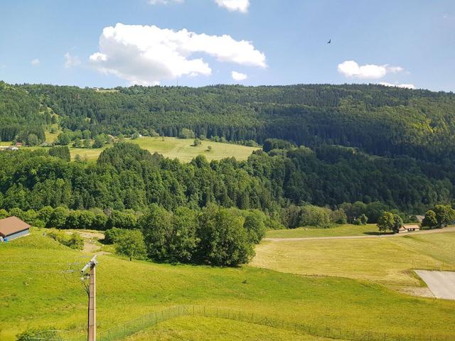 Appartement Septmoncel 4 pièce s 96.67 m²