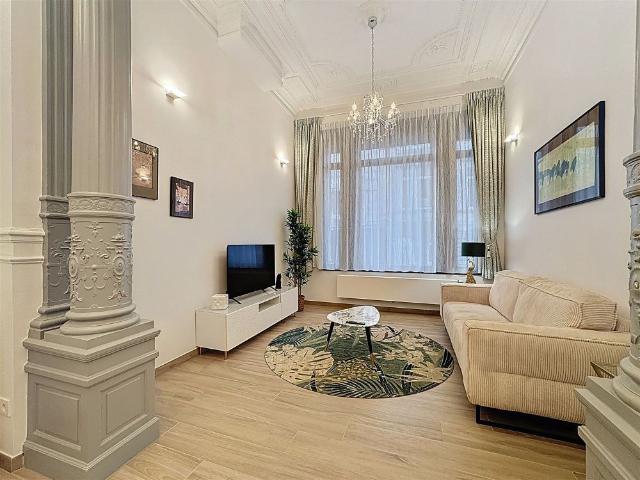 Appartement souplex 2 chambres meublé avec cour
