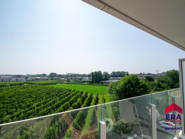 appartement spacieux 1 chambre avec terrasse et vue panorami