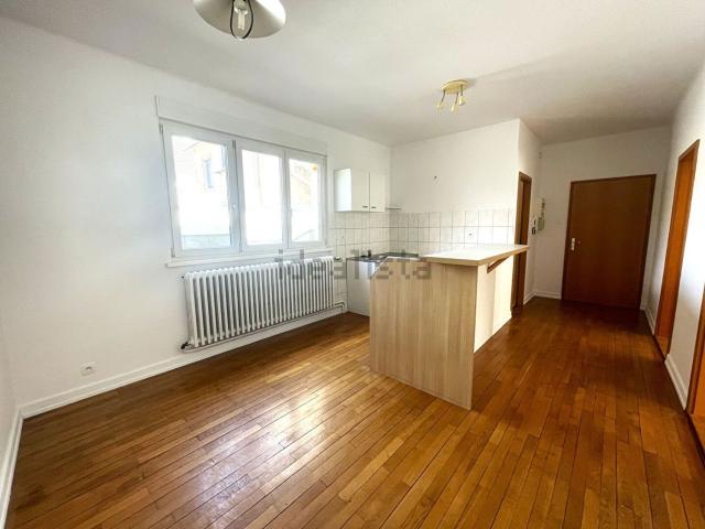 Appartement, Steinbourg