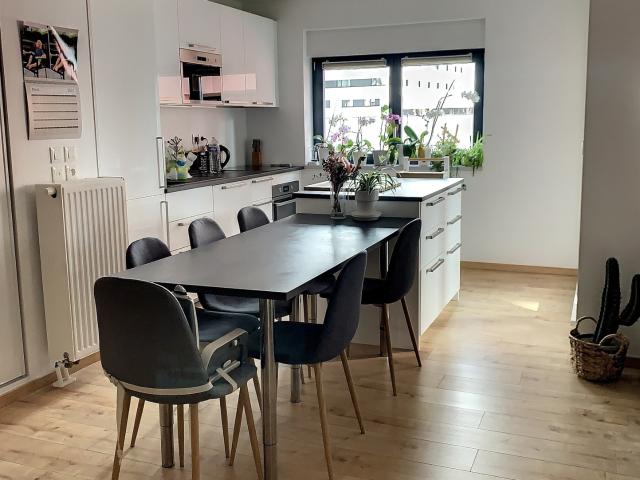 APPARTEMENT STRASBOURG DANUBE RIVE ETOILE 4 PIECES TERRASSE