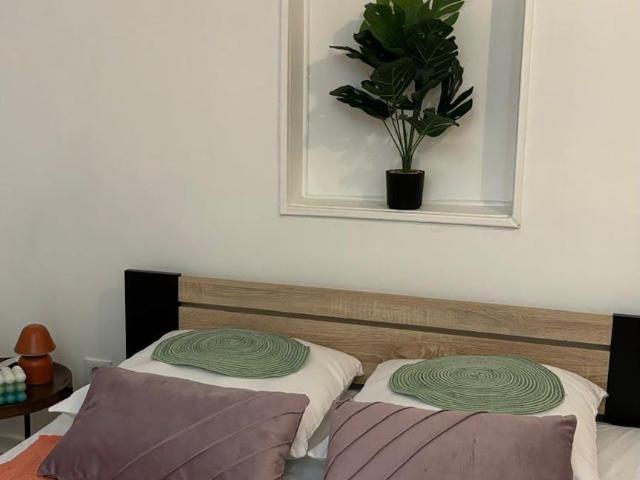 Appartement Strasbourg Strasbourg 67000 DS90975279