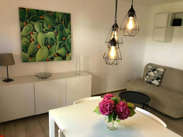 Appartement Strasbourg Strasbourg 67000 DS102917225