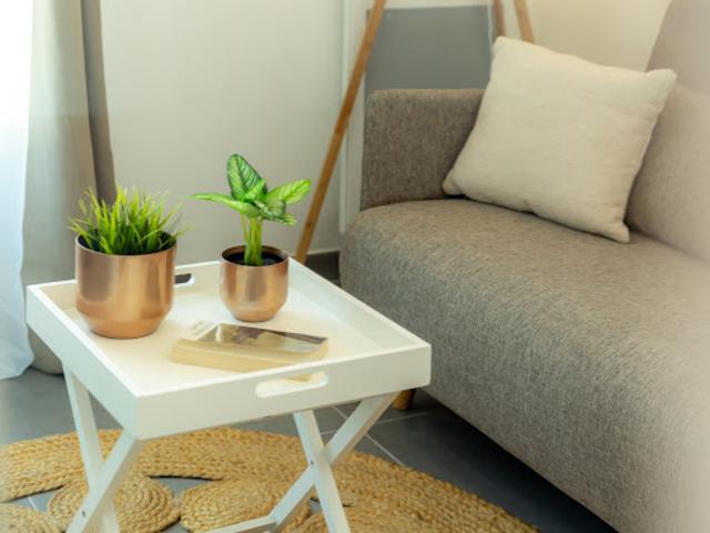 Appartement 1 pièce 19 m2
