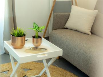 Appartement Strasbourg 1 pièce Urbanéo Rue de la Ganzau
