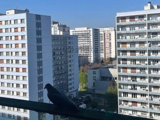Appartement, Strasbourg
