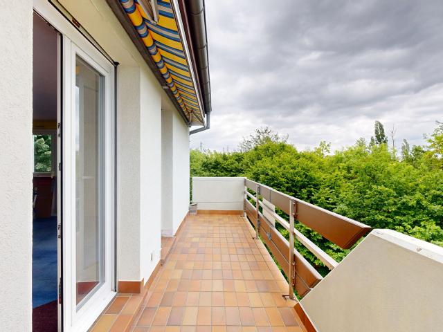 Appartement Strasbourg 4 pièces 115 m2 Carrez et 132,5m2 au sol
