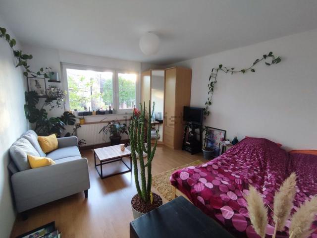 Appartement, Strasbourg