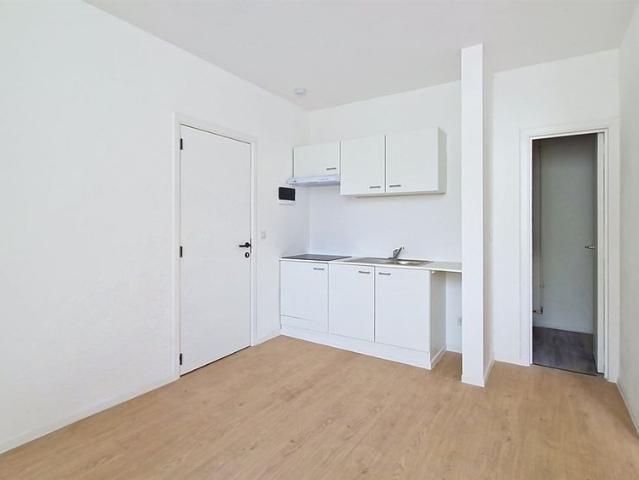Appartement/ Studio remis à neuf