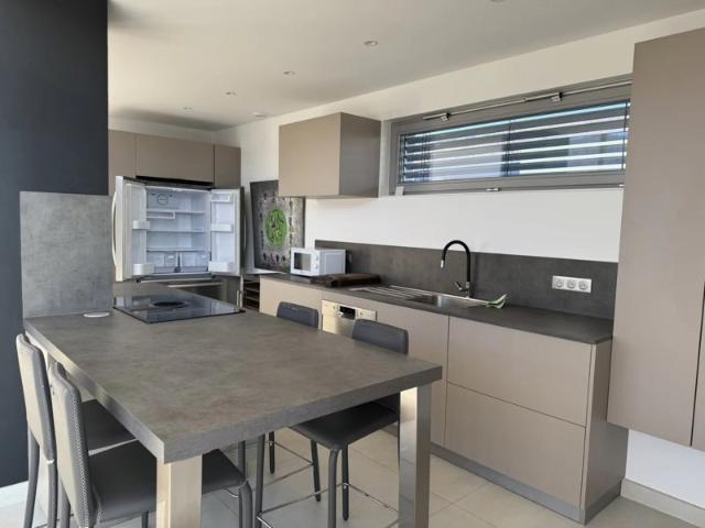 APPARTEMENT/MAISON meublé sur le toit du LOUVRE TERRASSE d