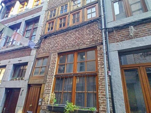 Appartement/Petite maison Quartier historique d’Outremeuse