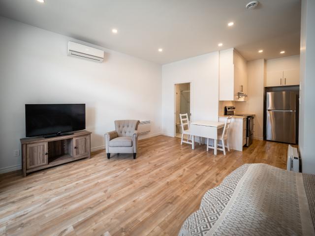 Appartement/Studio rénové à neuf meublé